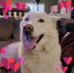 Meet your Posher, Chloe